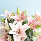 Arranjo De Lírio Artificial Rosa No Vaso Itália Rose Gold | F